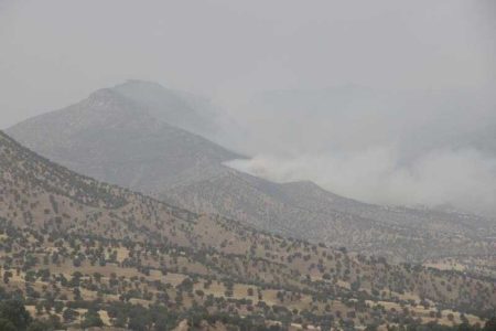 بخش اعظمی از آتش سوزی مناطق حفاظت شده «خامین» باشت مهار شد - خبرگزاری مهر | اخبار ایران و جهان