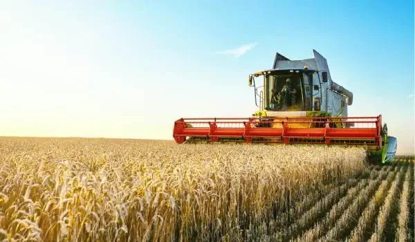 پودر ماهی برای کشاورزی؛ آیا این محصول برای کشاورزی مناسب است؟
