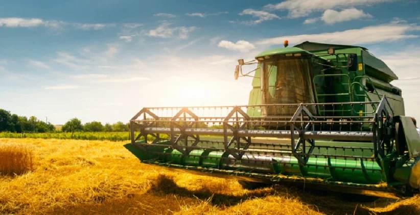 پودر ماهی برای کشاورزی؛ آیا این محصول برای کشاورزی مناسب است؟