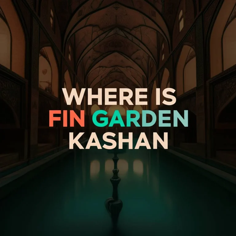 باغ فین کاشان کجاست؟