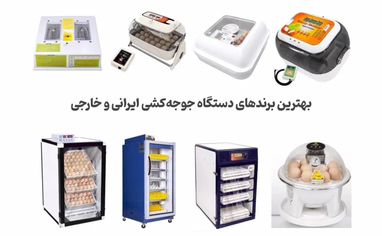 معرفی برندهای برتر جهانی دستگاه های جوجه کشی