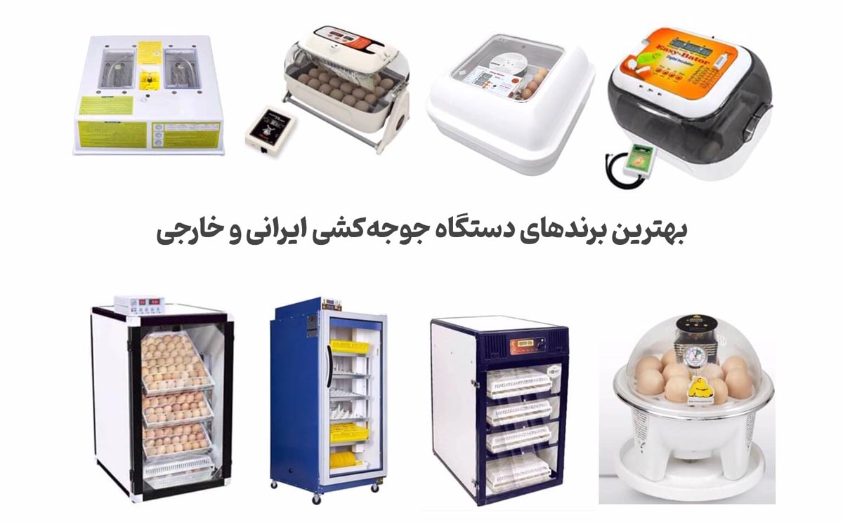 معرفی برندهای برتر جهانی دستگاه های جوجه کشی