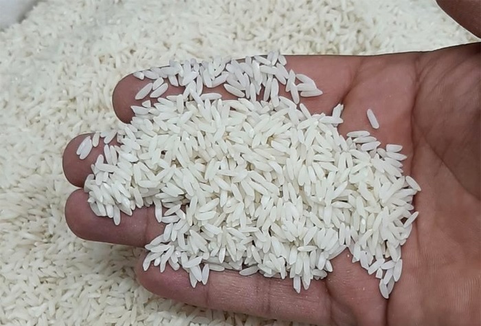 برنج میانه بهتر است یا شمال