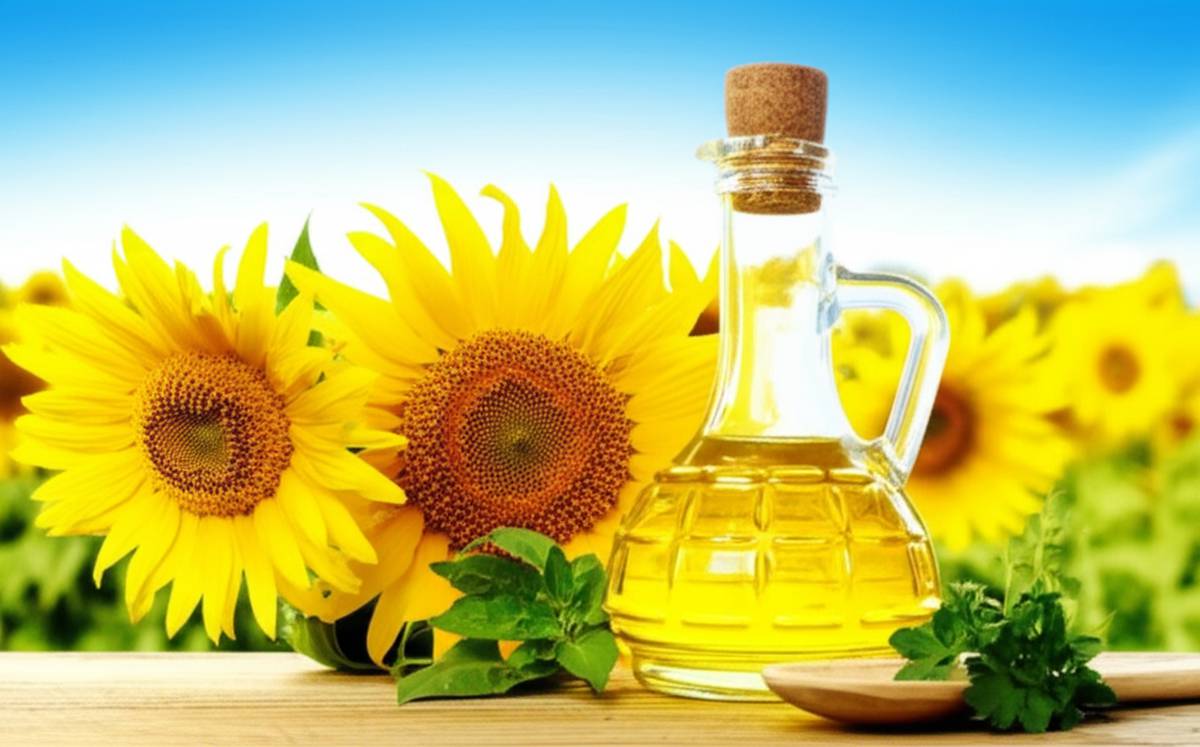 صفر تا صد روغن آفتابگردان | خواص، مضرات و کاربرد آن
