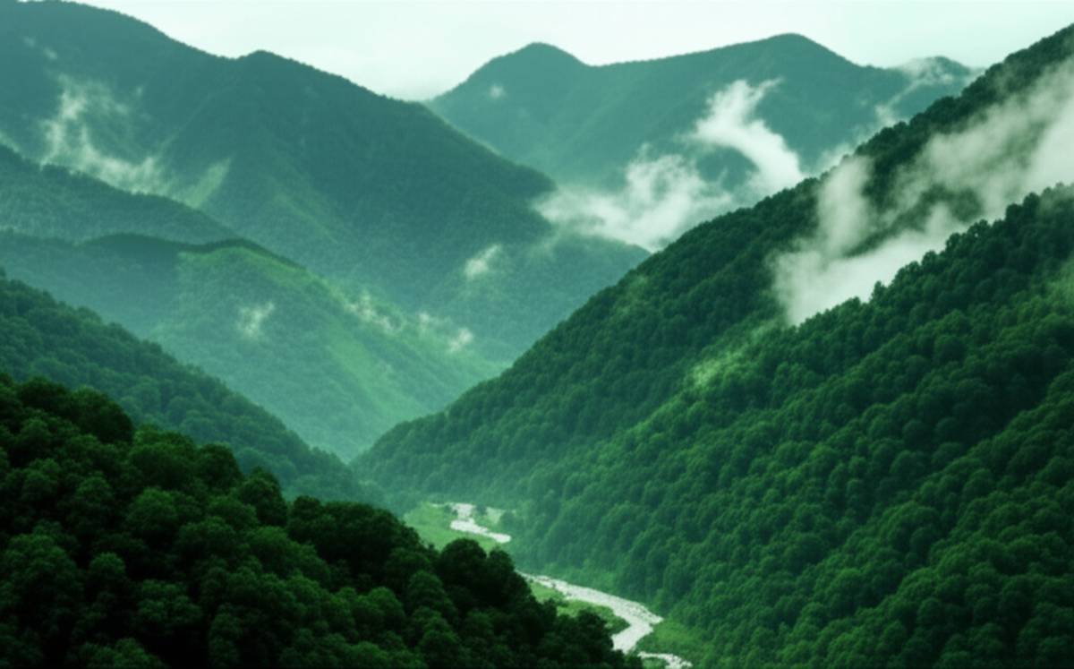 زیبایی | گردشگری ماسال: راهنمای جامع کشف زیبایی ها و ییلاقات گیلان